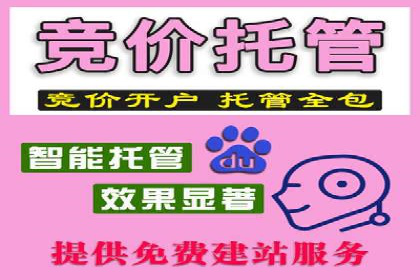 SEM托管优化效果显著案例解析